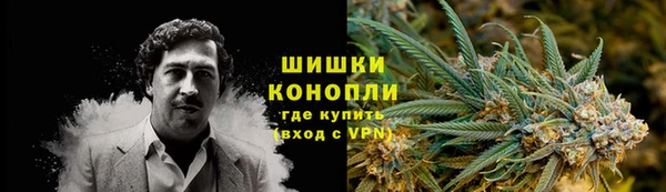 прущие грибы Абинск