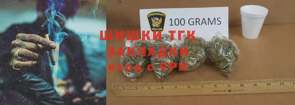 прущие грибы Абинск