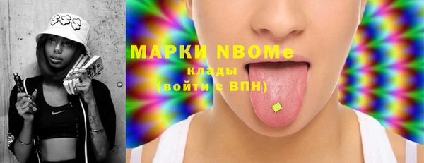 прущие грибы Абинск