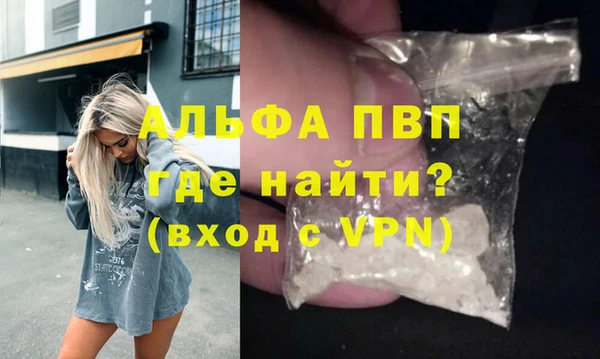 индика Алексин