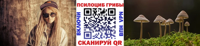 Псилоцибиновые грибы MAGIC MUSHROOMS  KRAKEN как зайти  Калининград 