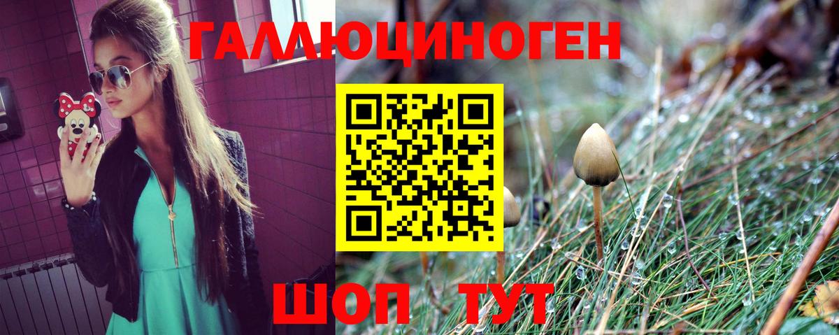 Калининград  Псилоцибиновые грибы прущие грибы  Вход с VPN 