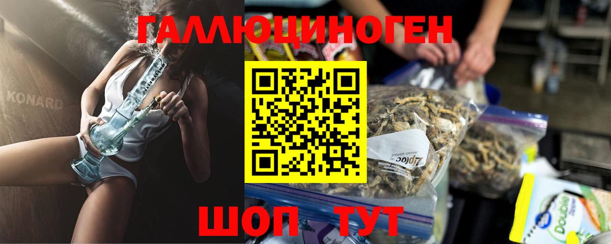 Галлюциногенные грибы Cubensis Калининград