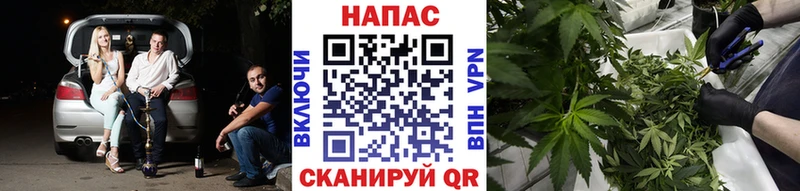 купить наркотики сайты  Калининград  Канабис THC 21% 